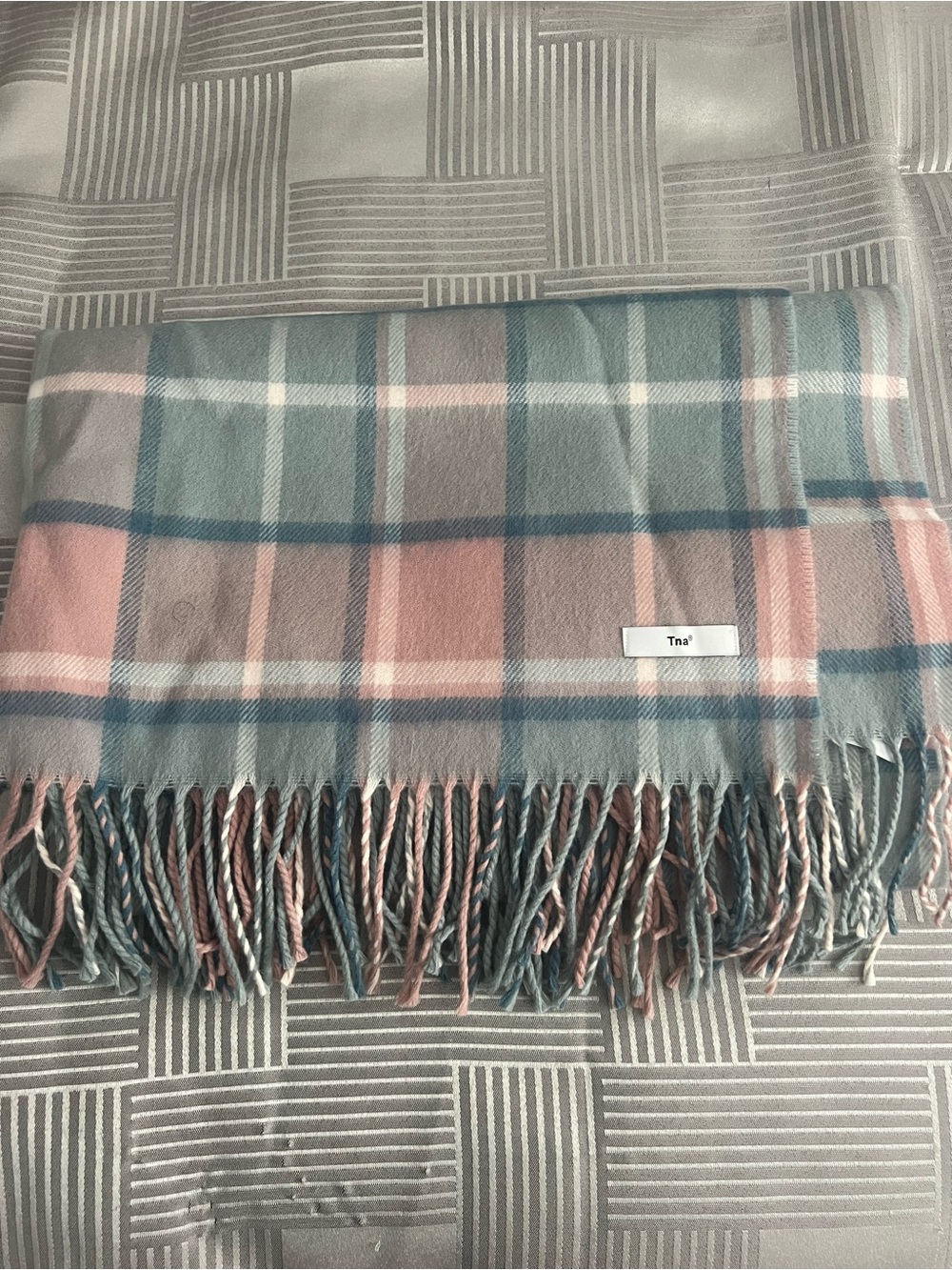 Aritzia TNA pink and blue Plaid Fringe Scarf